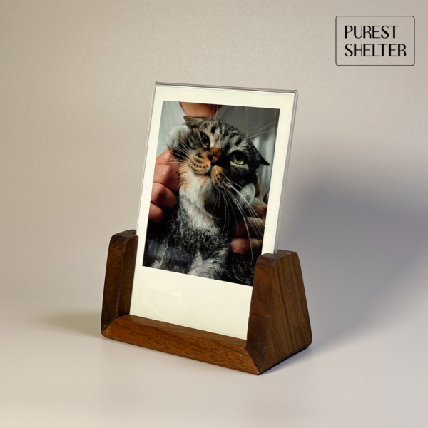 PUREST SHELTER -  an Eternal Sanctuary for Your Beloved Companion - Image 8