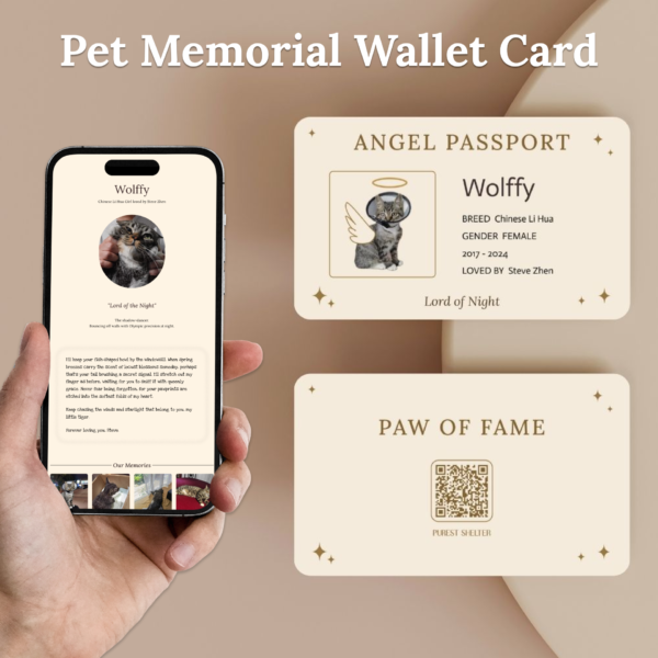 Angel Passport - Customized Memorial Postcard / Wallet Card with Permanent Memorial Webpage - Image 3