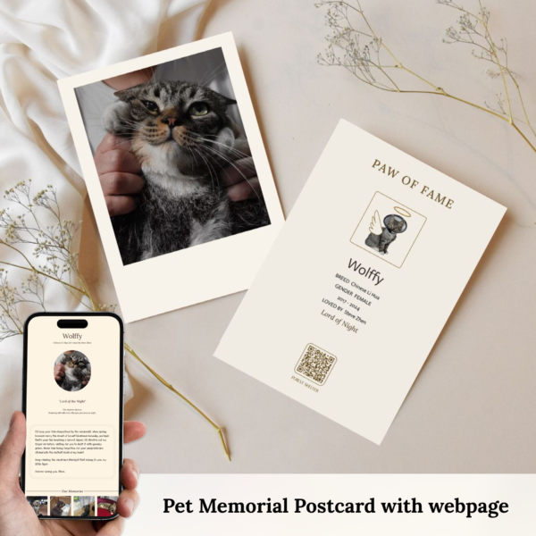 Angel Passport - Customized Memorial Postcard / Wallet Card with Permanent Memorial Webpage