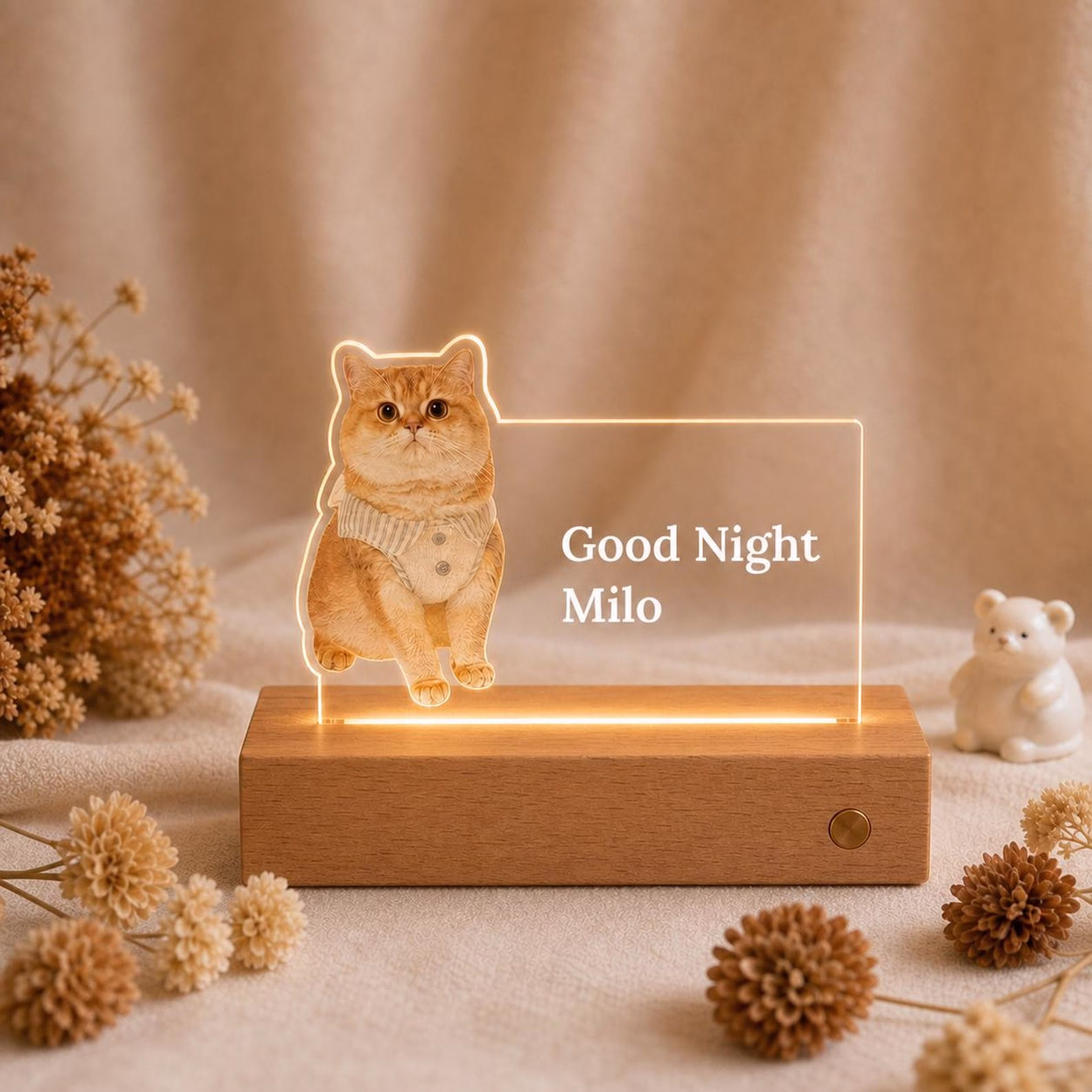 Custom Pet Memorial LED Light, Personalized Acrylic Pet Photo Night Light, Dog Cat Memory Gift, Pet Loss Keepsake